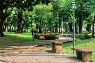 Codename Younique Sion Codename Younique Sion