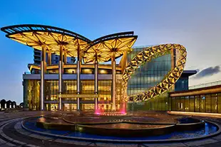 Codename Younique Sion Codename Younique Sion