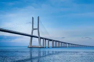 Codename Younique Sion Codename Younique Sion